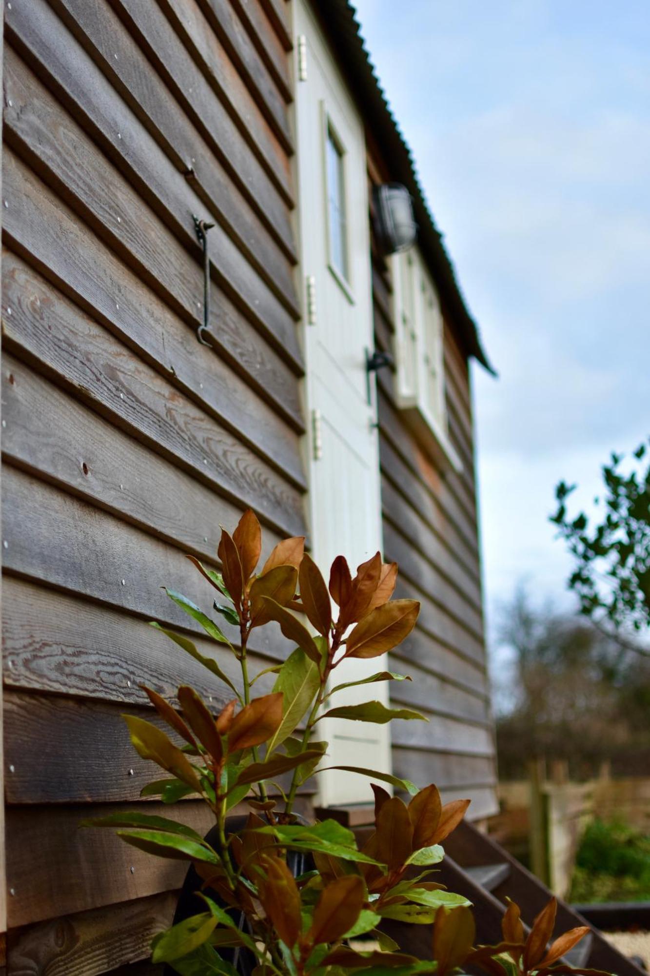 The Deer Hut Apartment Burpham Exterior foto